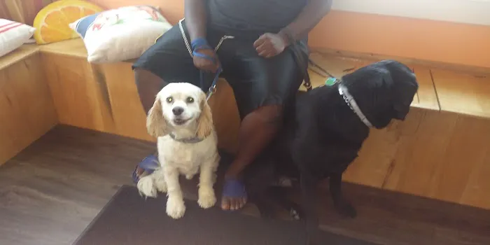 Twin City Veterinary Outpatient Clinic Picture 2