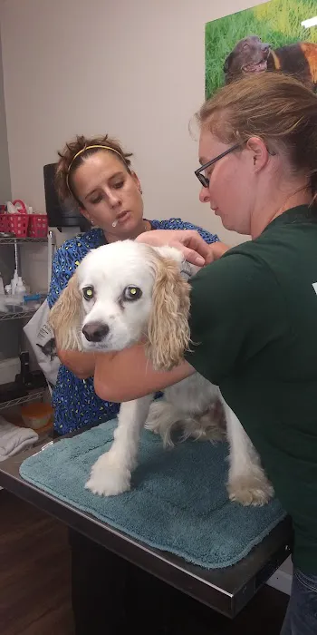 Twin City Veterinary Outpatient Clinic Picture 4