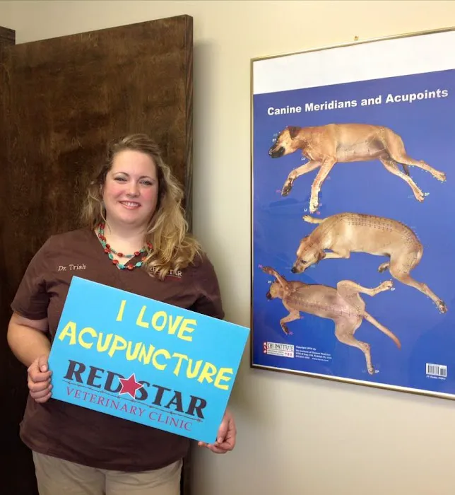 Red Star Veterinary Clinic Picture 1