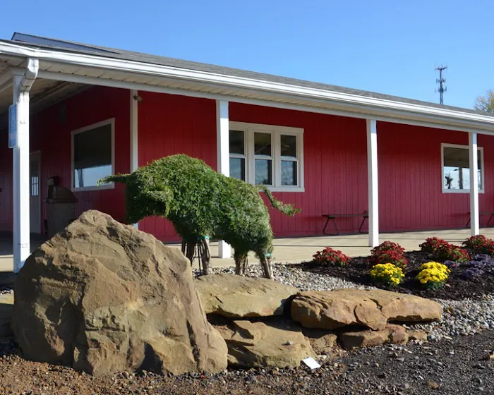 Red Star Veterinary Clinic Picture 2