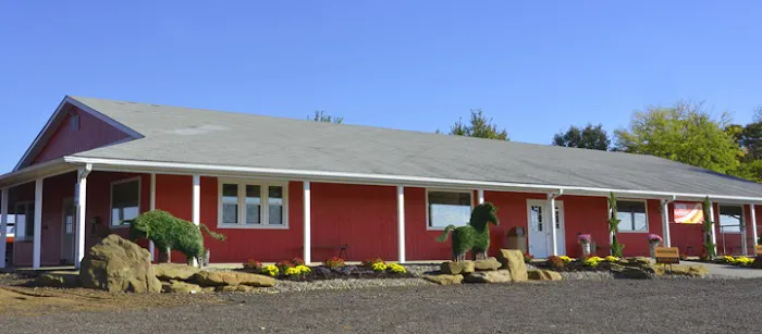 Red Star Veterinary Clinic Picture 4