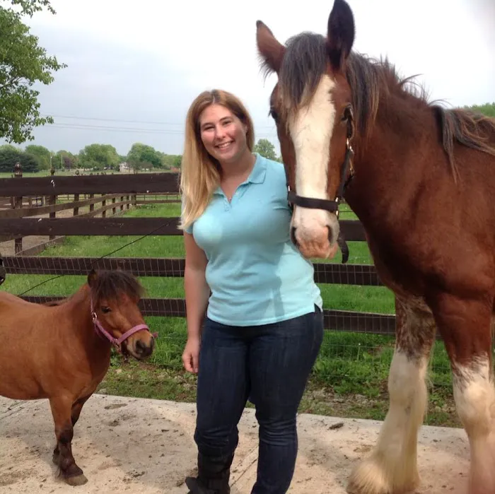 Red Star Veterinary Clinic Picture 3