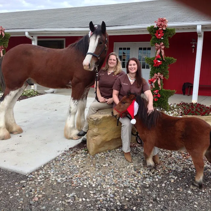 Red Star Veterinary Clinic Picture 6