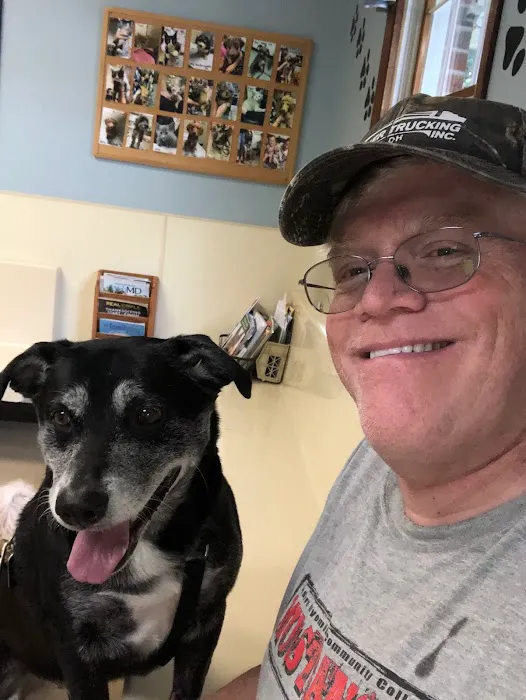 Town & Country Veterinary Clinic: Yosick Drew DVM Picture 2