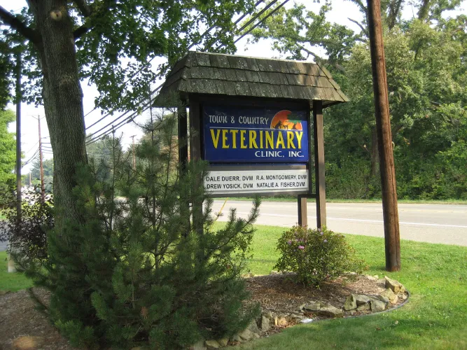 Town & Country Veterinary Clinic: Yosick Drew DVM Picture 3
