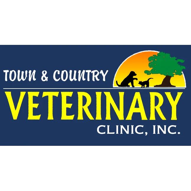 Town & Country Veterinary Clinic: Yosick Drew DVM Picture 7