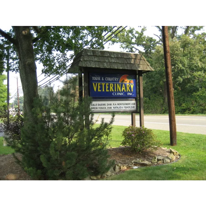 Town & Country Veterinary Clinic: Yosick Drew DVM Picture 8
