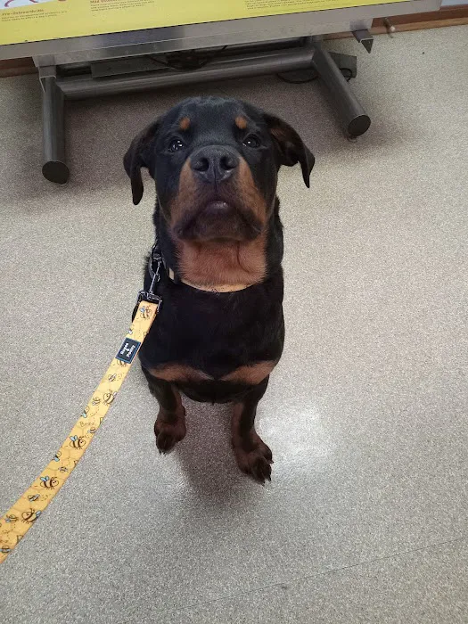Town & Country Veterinary Clinic Picture 2