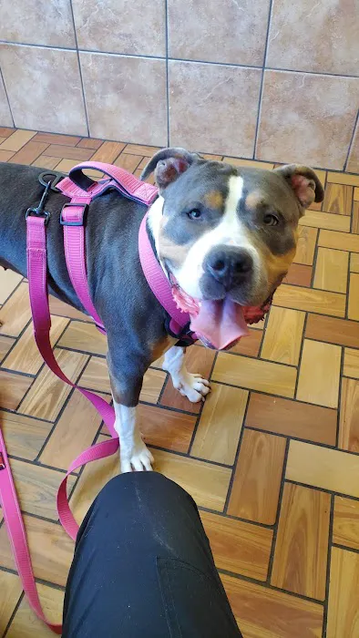 Thompson Animal Hospital Picture 2