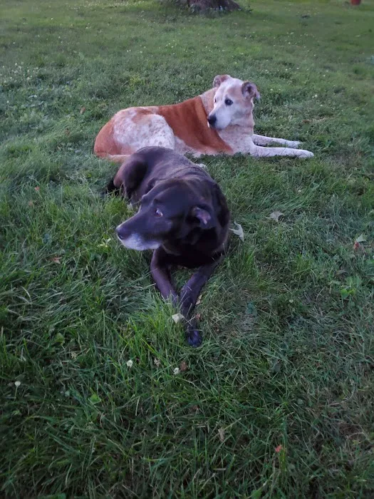 Thompson Animal Hospital Picture 8