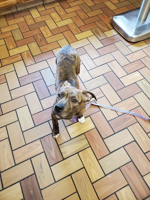 Thompson Animal Hospital Picture 6