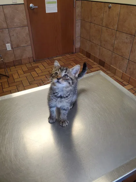 Thompson Animal Hospital Picture 5