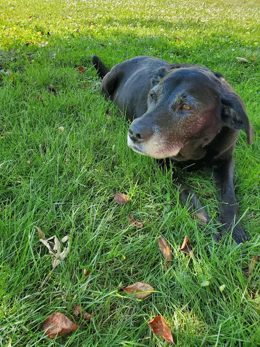 Thompson Animal Hospital Picture 9