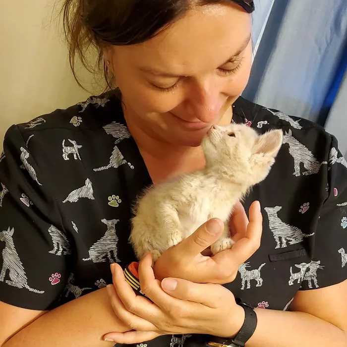 Alliance Animal Hospital LLC Picture 6