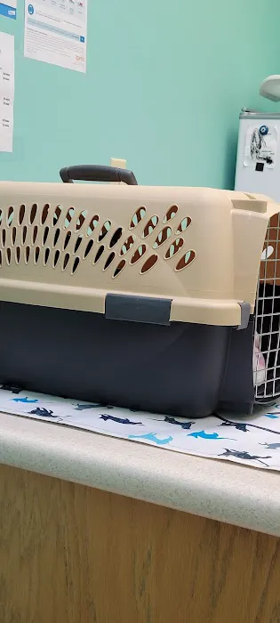 West Main Veterinary Clinic Picture 1