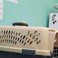 West Main Veterinary Clinic ico