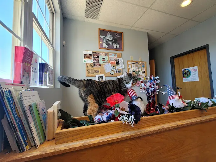 West Main Veterinary Clinic Picture 3