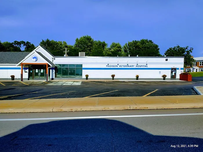 Madison Veterinary Hospital Picture 2
