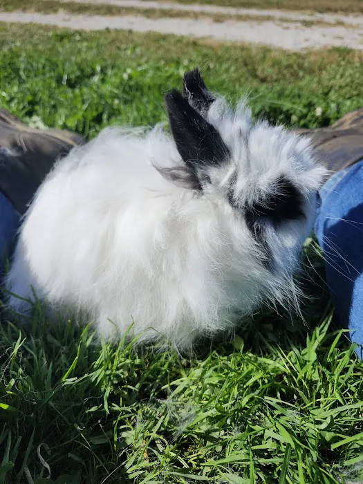 Trinity Veterinary Hospital Picture 3