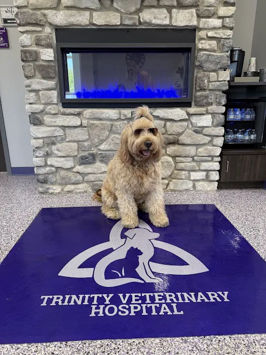 Trinity Veterinary Hospital Picture 6