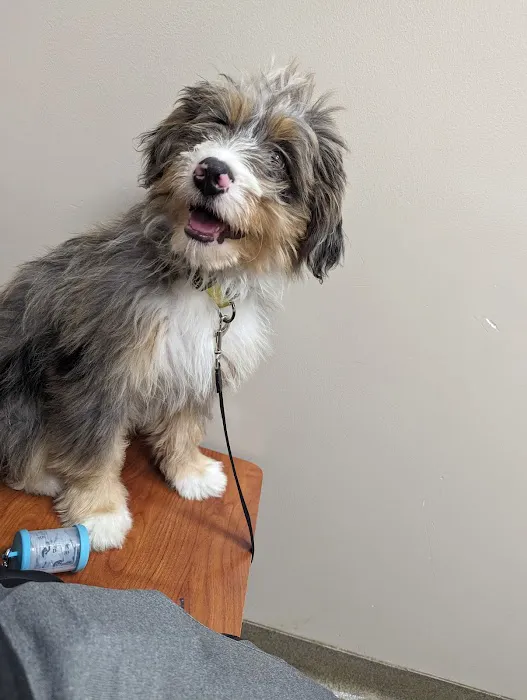 BIG CREEK VETERINARY Picture 6