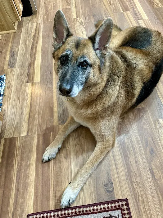 BIG CREEK VETERINARY Picture 9