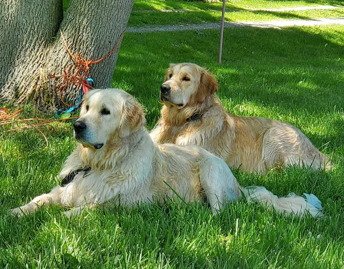 BIG CREEK VETERINARY Picture 10