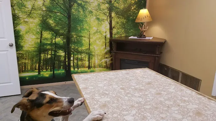 Woodlands Veterinary Picture 2