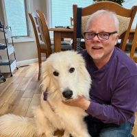 Lamoille Valley Veterinary Services ico
