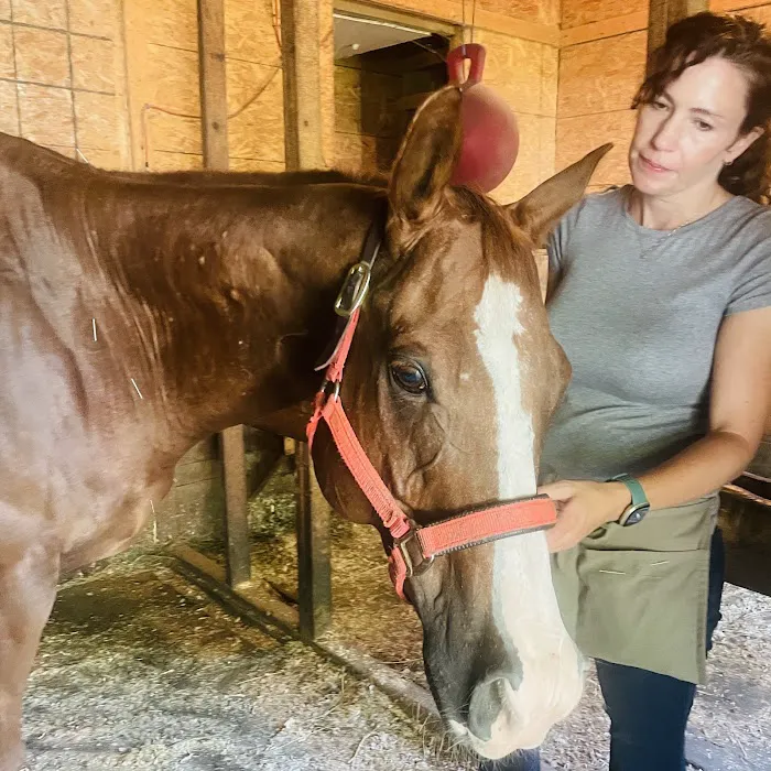 Large Animal Medical Associates Picture 1