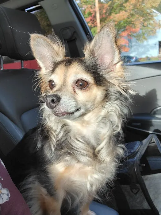 NEK Community Animal Hospital Picture 1