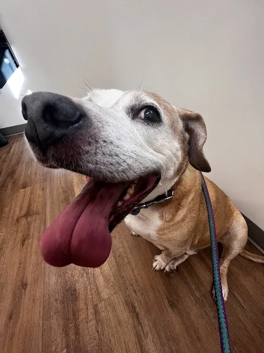 NEK Community Animal Hospital Picture 5