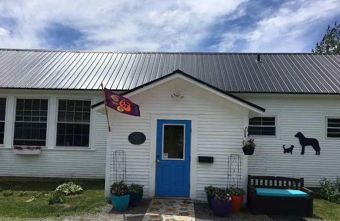 East Haven Veterinary Service Picture 5