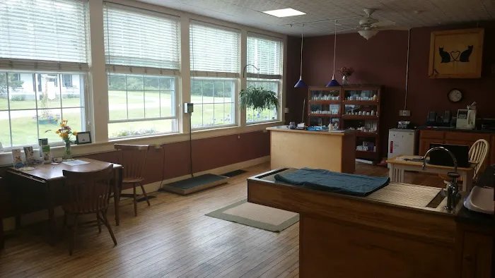 East Haven Veterinary Service Picture 10