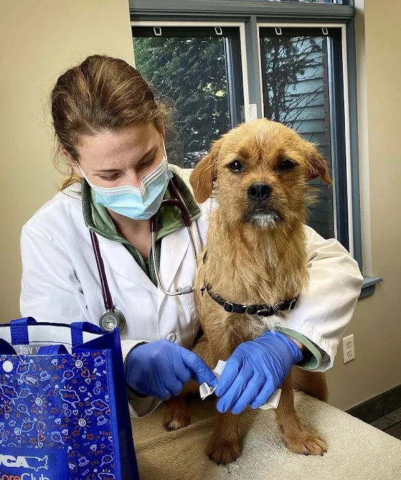 VCA Fitzgerald Animal Hospital Picture 3