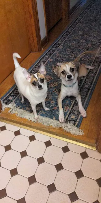 VCA Fitzgerald Animal Hospital Picture 10