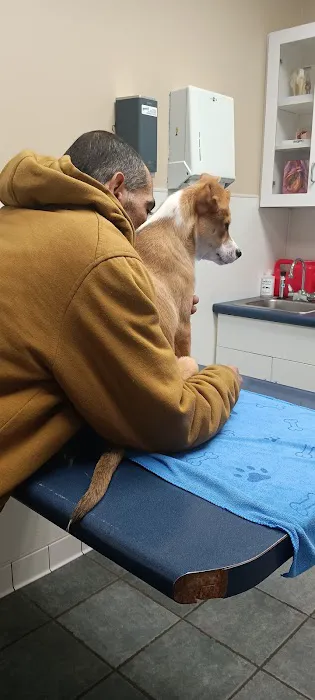 VCA Fitzgerald Animal Hospital Picture 8