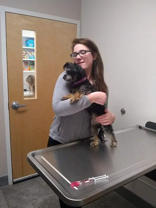 Malletts Bay Veterinary Hospital Picture 4