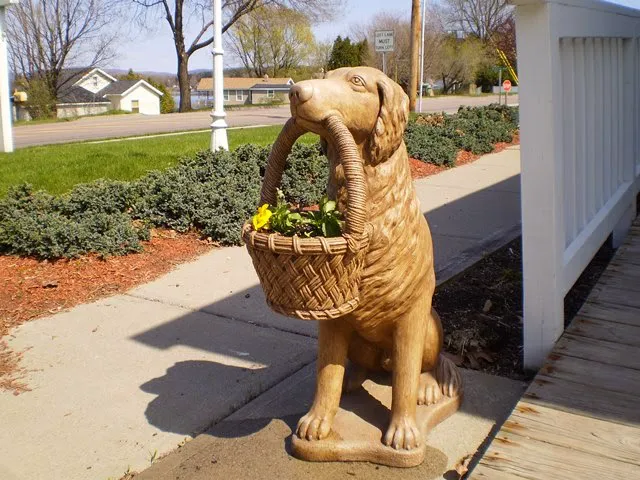 Malletts Bay Veterinary Hospital Picture 7