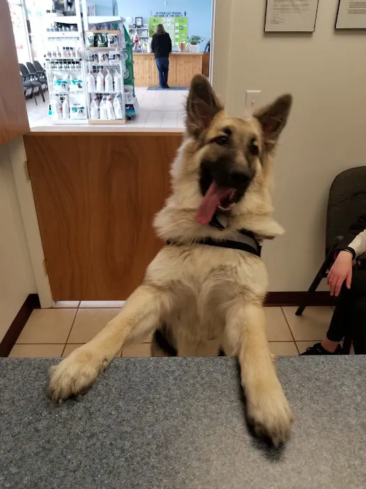 Eagle's Nest Veterinary Hospital Picture 2