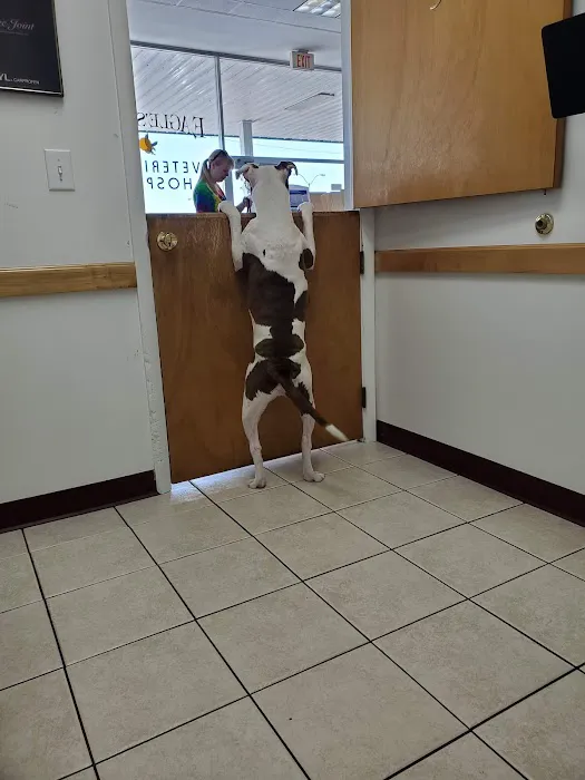 Eagle's Nest Veterinary Hospital Picture 1