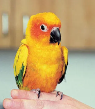 Eagle's Nest Veterinary Hospital Picture 4