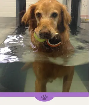 Eagle's Nest Veterinary Hospital Picture 5