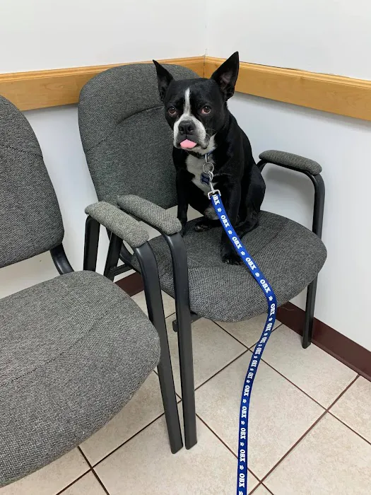 Eagle's Nest Veterinary Hospital Picture 7
