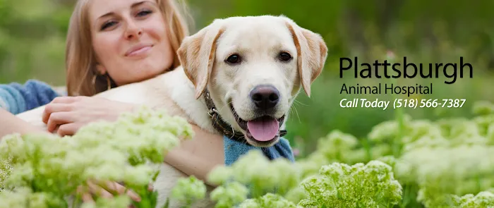Plattsburgh Animal Hospital Picture 10