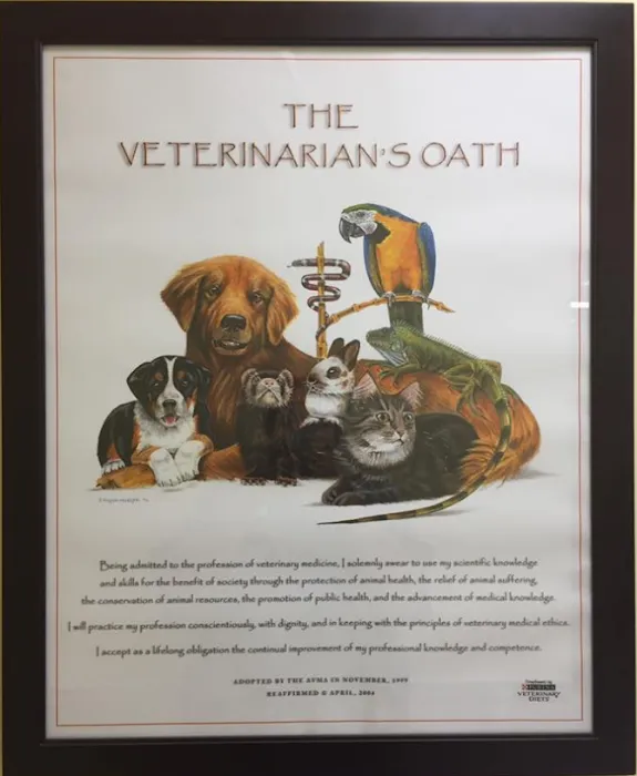 Palmer Veterinary Clinic Picture 10