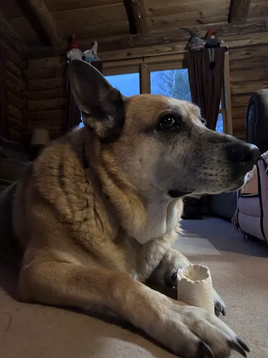 High Peaks Animal Hospital: Buskey Emily DVM Picture 2