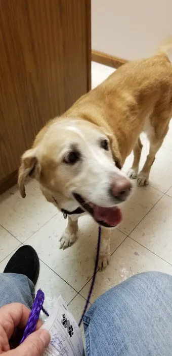 Adirondack Park Pet Hospital Picture 2