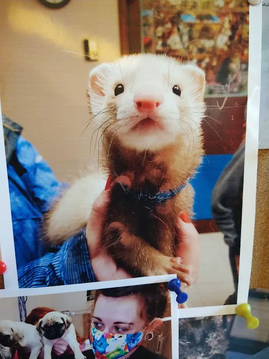 Adirondack Park Pet Hospital Picture 3