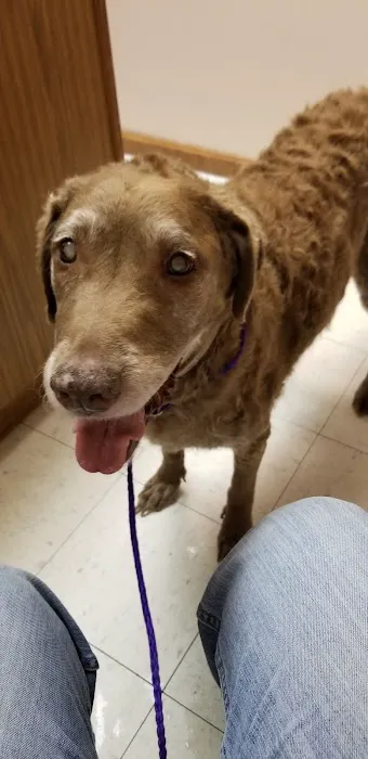 Adirondack Park Pet Hospital Picture 5